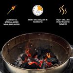 Birch Lumpwood Charcoal 10kg - Half Pallet 21 Bags