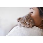 Warma Cat Kitten Litter Eco Wood Pellets 40L Premium Absorbent Odour Control