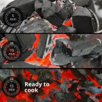 lumpwood charcoal in bags