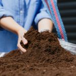 lawn dressing soil