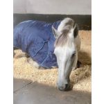 Large Bales of Wood Shavings - 2 pack