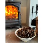 Scented Pine Cones - Orange, Cinnamon and Clove