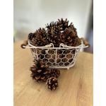 Scented Pine Cones - Orange, Cinnamon and Clove