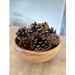 Scented Pine Cones - Orange, Cinnamon and Clove