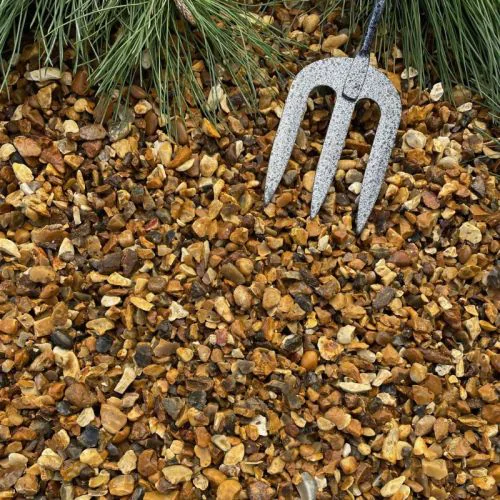 Golden gravel 