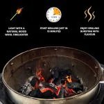Birch Lumpwood Charcoal 10kg - Full Pallet 42 Bags