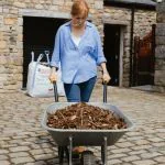 bark chips